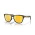Oakley Frogskins Range Polarized